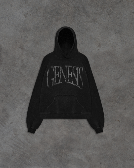 Story of Genesis Hoodie