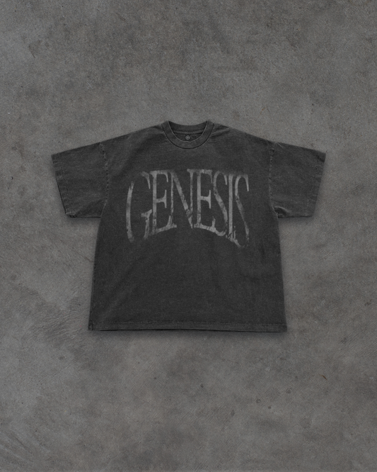Story of Genesis T-Shirt