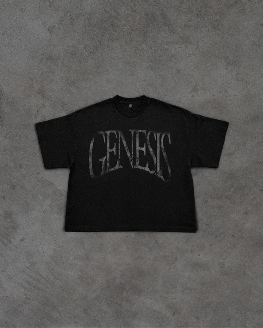 Story of Genesis T-Shirt
