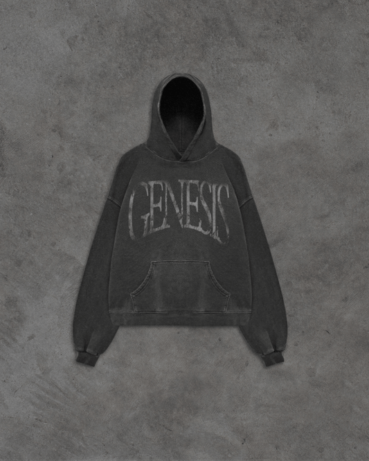Story of Genesis Hoodie