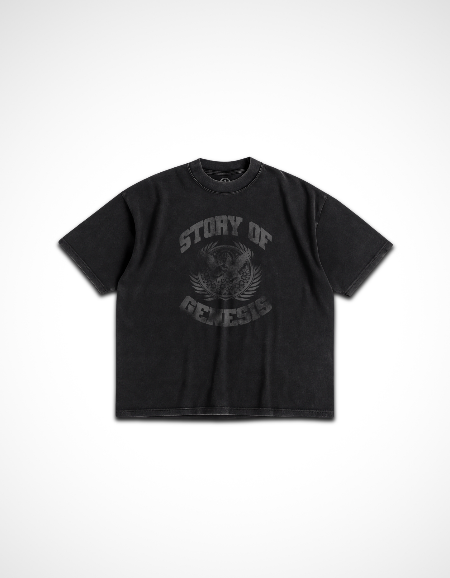 Story of Genesis Vintage Tee