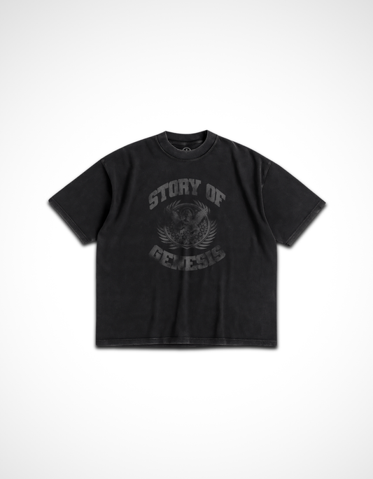 Story of Genesis Vintage Tee