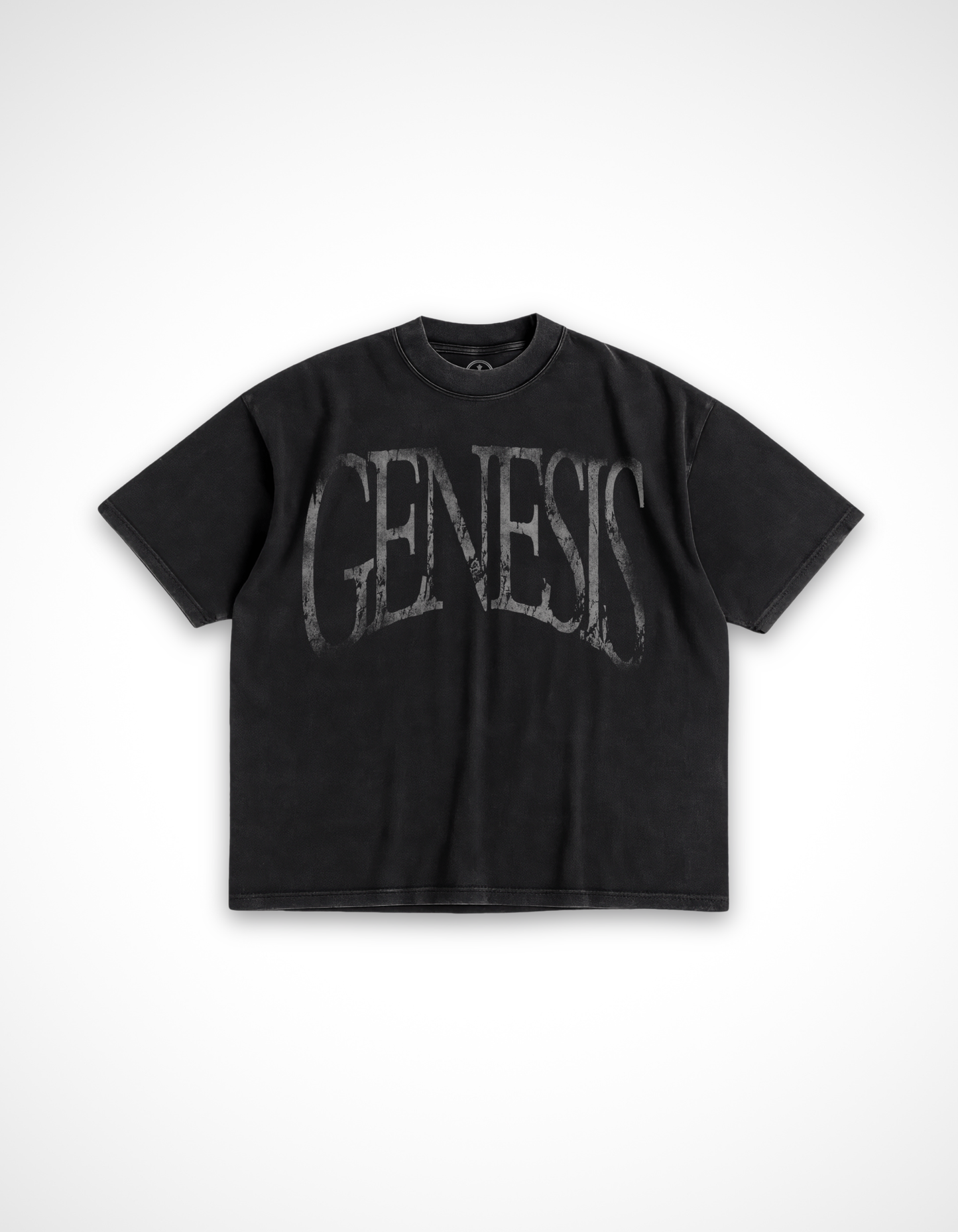 Story of Genesis T-Shirt