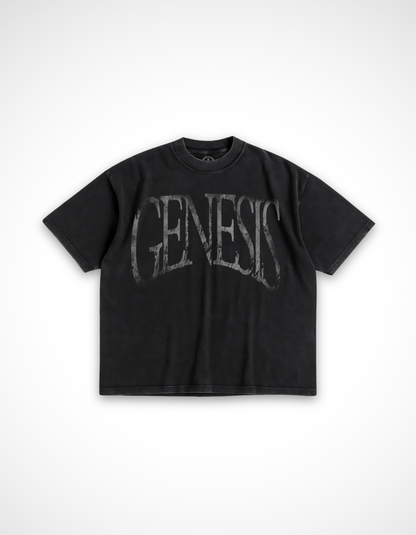 Story of Genesis T-Shirt