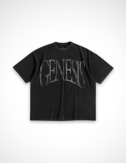 Story of Genesis T-Shirt