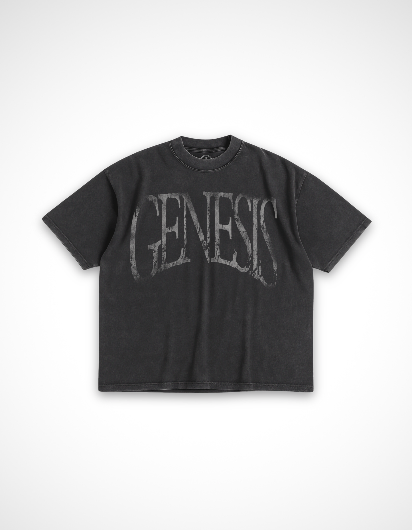 Story of Genesis T-Shirt