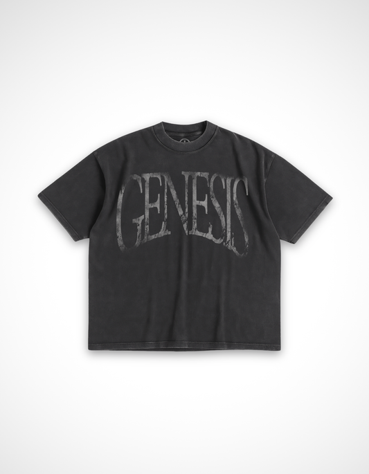 Story of Genesis T-Shirt