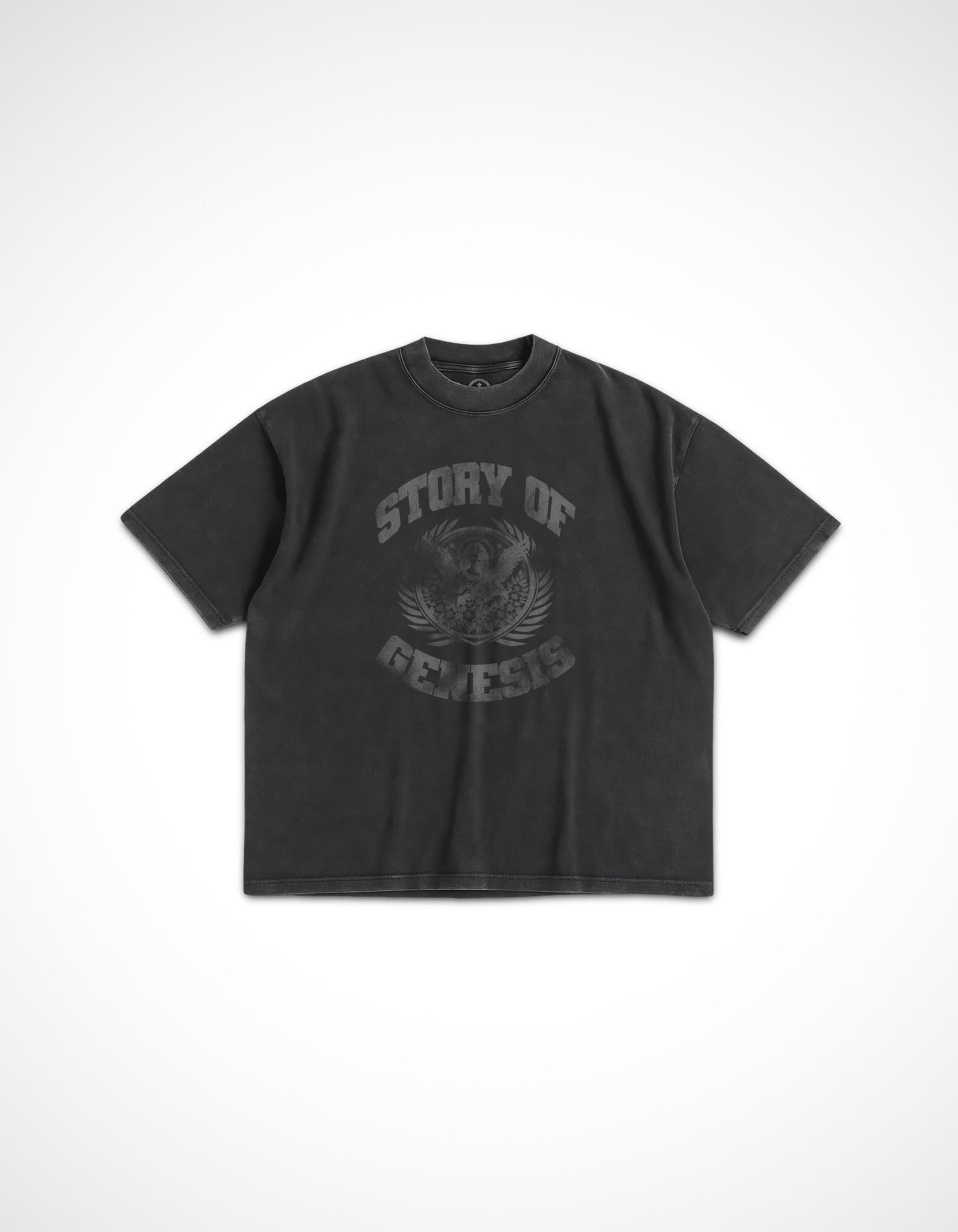 Story of Genesis Vintage Tee