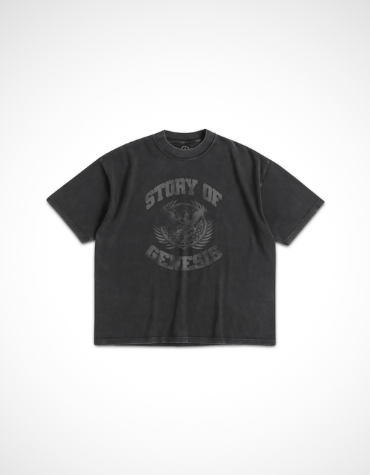 Story of Genesis Vintage Tee