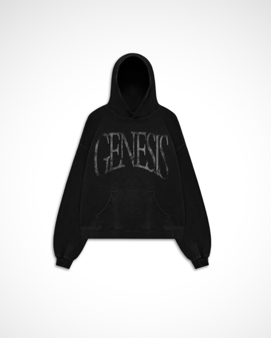 Story of Genesis Hoodie