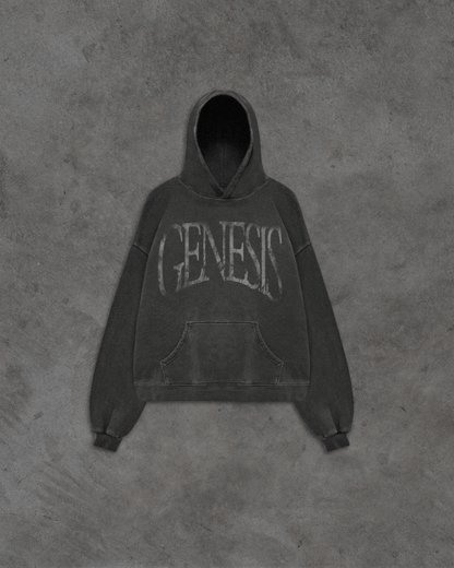 Story of Genesis Hoodie
